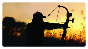 DSC700 309 Gone Hunting (Bow)